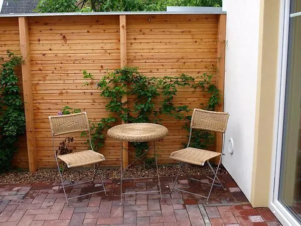 Kleiner Austernfischer * Husum (Schleswig-Holstein)