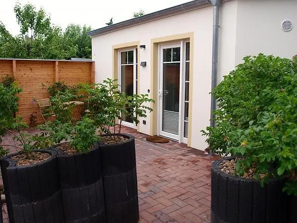 Kleiner Austernfischer * Husum (Schleswig-Holstein)